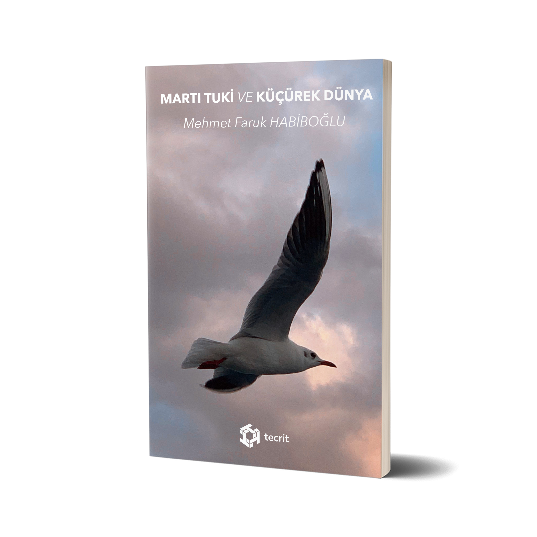 Martı Tuki ve Küçürek Dünya