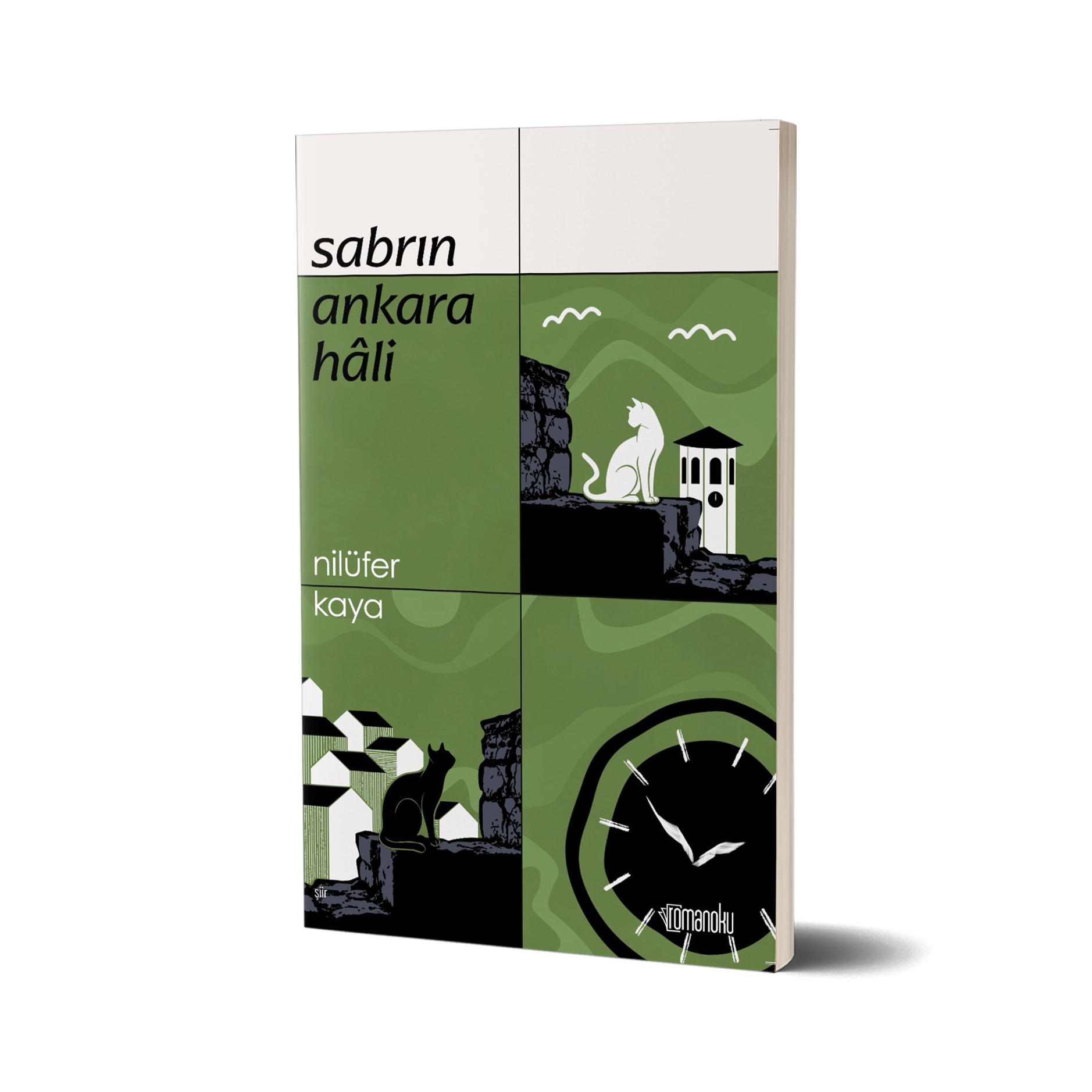 Sabrın Ankara Hâli